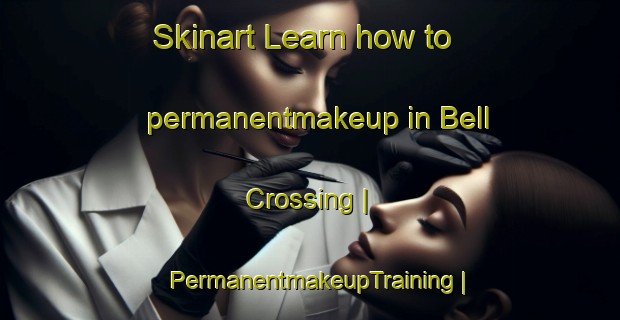 Skinart Learn how to permanentmakeup in Bell Crossing | PermanentmakeupTraining | PermanentmakeupClasses | SkinartTraining-United States